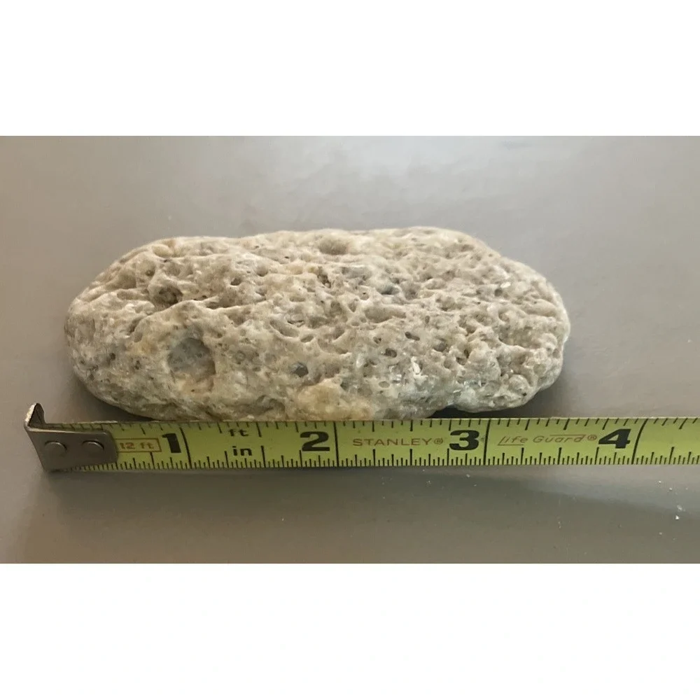 Fossilized Coral Natural Surf Tumbled 5.5